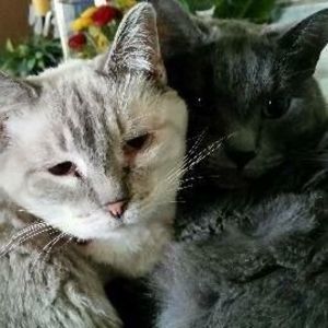 Meet your Posher, Roxanne